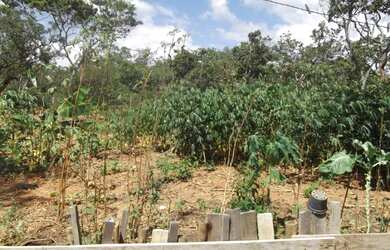 Imagem: A chácara possui 1.260m² de Área e está localizado em Jaboticatubas