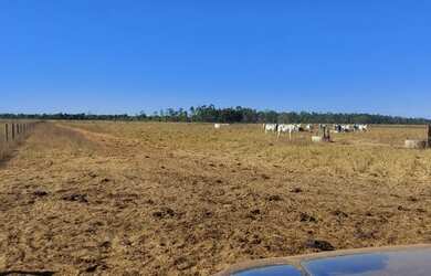 Imagem 15: Fazenda p/ Arrendamento de Soja. 1070 há. No Goiás