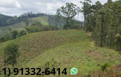 Imagem: O terreno possui 1.000m² de Área e está localizado em Roseira