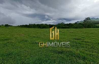 Imagem 2: Fazenda à venda, 503 hectares por R$ - Zona Rural - Goianésia/GO