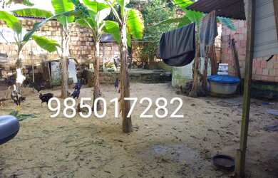 Imagem 8: Casa disponível pra venda