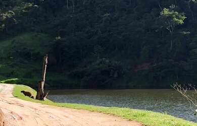 Imagem 9: Maravilhosos Terrenos. 200.000m² de Área