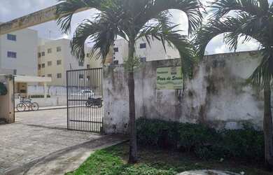 Imagem 1: Apartamento no Rosa Elze gt