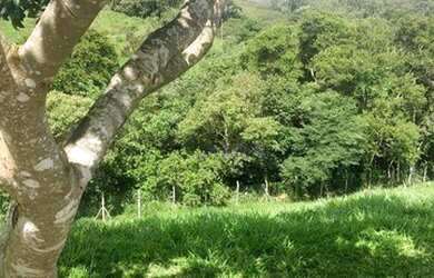 Imagem 2: Terreno à venda, 360 m² por R$ 223.000,00 - Reserva Vale Verde - Cotia/SP