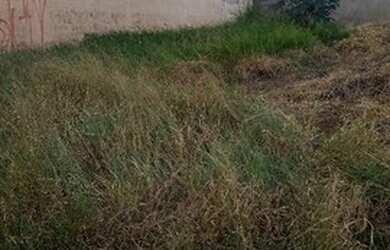 Imagem 2: Terreno à venda, 350 m² por R$ 300.000,00 - Residencial Bordon - Sumaré/SP