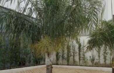 Imagem: O apartamento possui 2 Dormitórios, 1 Banheiro, 2 Vagas na