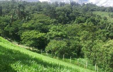 Imagem 4: Terreno à venda, 360 m² por R$ 223.000,00 - Reserva Vale Verde - Cotia/SP