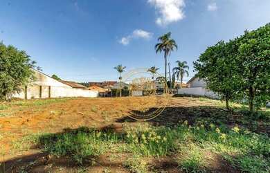 Imagem 14: Terreno à venda, 956 m² por R$ 1.150.000,00 - Tingui - Curitiba/PR