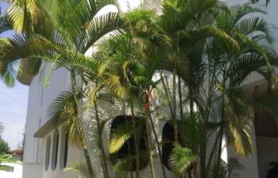 Imagem 2: Casa com 4 dormitórios, 550 m² - venda por R$ 3.200.000,00 ou aluguel...