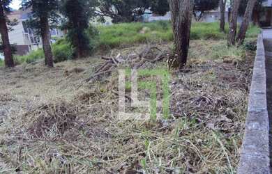 Imagem 4: Terreno Jd. Paulista Venda