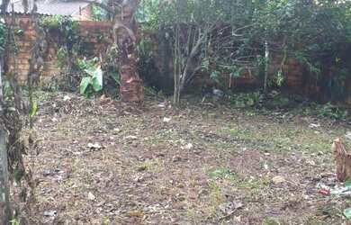 Imagem 3: Terreno em mosqueiro. 150m² de Área