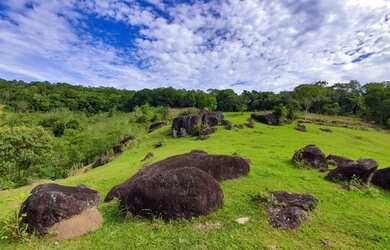 Imagem: A fazenda possui 12m² de Área e está localizado em Colônia