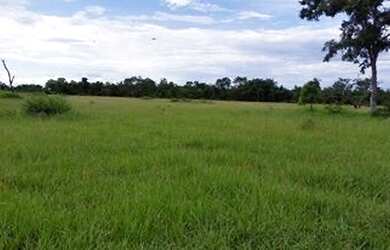 Imagem: A fazenda possui 244m² de Área e está localizado em Paranã