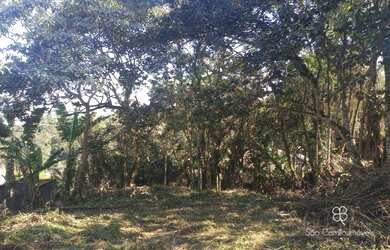 Imagem 1: Terreno à venda, 1500 m² por R$ 850.000,00 - GRANJA VIANA CHACARA DOS...