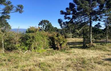 Imagem 9: Linda Chácara em Urubici