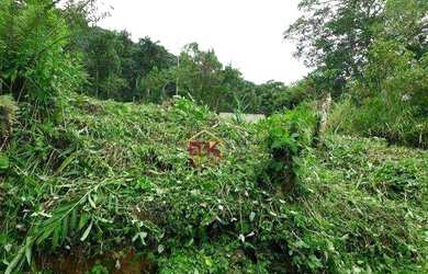 Imagem 6: Terreno à venda, 300 m² por R$ 100.000 - Ubatumirim - Ubatuba/SP