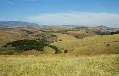 Imagem 13: Maravilhosos Terrenos. 200.000m² de Área