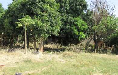 Imagem 3: Terreno Comercial ZC1 à venda, 1931 m² por R$ 2.100.000 - Portuguesa...