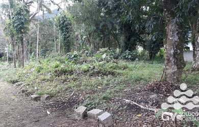 Imagem 5: Área à venda, 7230 m² por R$ 950.000,00 - Sertao da Quina - Ubatuba/SP