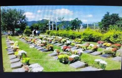 Imagem 2: Jazigo Perpétuo Jardim da Saudade - Sulacap - Rio de Janeiro