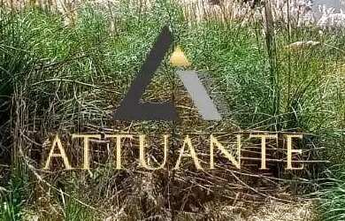 Imagem 2: Terreno no bairro São Luiz