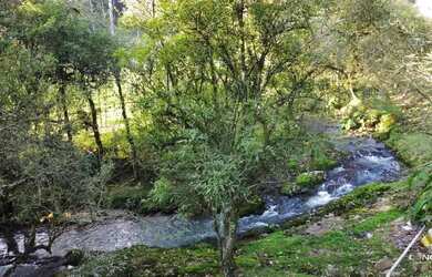 Imagem: A fazenda possui 25.000m² de Área e está localizado em São
