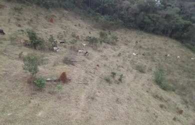 Imagem 9: Sítio de 38 hectares com água em abundância em Cristiano Otoni