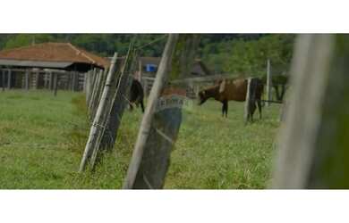 Imagem 9: Fazenda a venda com 86 hectares em Unaí, Minas Gerais