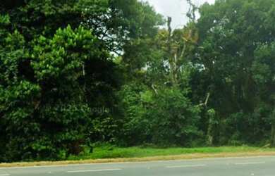 Imagem 4: Área à Venda - BR-101, Araquari/SC