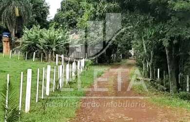 Imagem 3: Sítio em Santa Tereza do Oestes 15 alq Plantio de Soja Produção de 8.000 mil Lt Leite mês