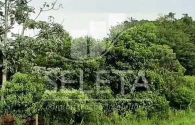 Imagem 8: Sítio em Santa Tereza do Oestes 15 alq Plantio de Soja Produção de 8.000 mil Lt Leite mês