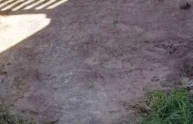 Imagem: A casa possui 1 Dormitório, 1 Banheiro, 3 Vagas na garagem