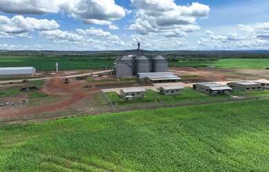 Imagem 13: R$360 Milhões Fazenda de 6.372 ha em Miranorte-TO