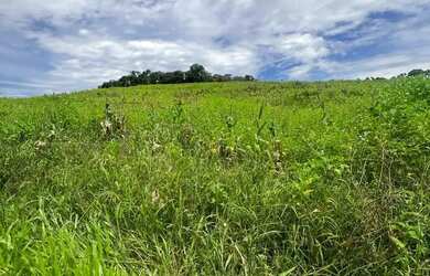 Imagem: Lotes em Ibiúna ideal para seu chalés - 1000m²