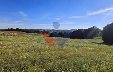 Imagem: A fazenda possui 48.400m² de Área e está localizado em Campo