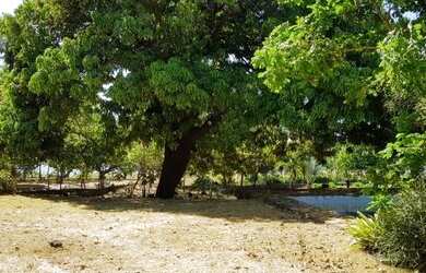 Imagem 12: Terreno à venda, 24200 m² por R$ 8.000.000,00 - Sabiaguaba - Fortaleza/CE