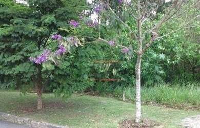 Imagem 2: Terreno à venda, 1290 m² por R$ 265.000,00 - Granja Viana II - Cotia/SP