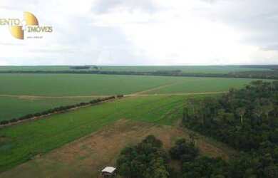 Imagem 15: Fazenda á 100km de Cuiabá à venda, 9700000 m² por R$ 15.000.000 -...