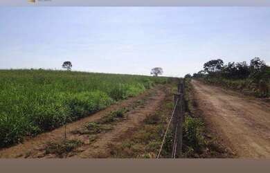 Imagem 9: Fazenda á 100km de Cuiabá à venda, 9700000 m² por R$ 15.000.000 -...