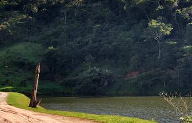 Imagem 5: Maravilhosos Terrenos. 200.000m² de Área