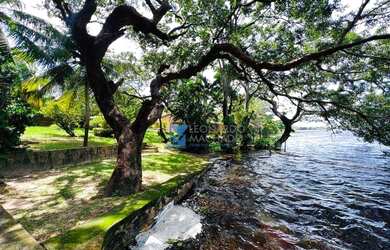 Imagem 12: Terreno à venda, 25000 m² por R$ 1.000.000,00 - Cumbuco - Caucaia/CE