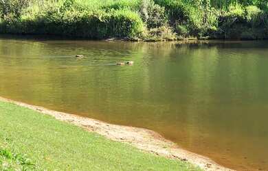 Imagem 7: Maravilhosos Terrenos. 200.000m² de Área