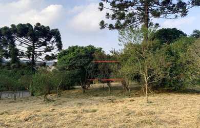 Imagem 5: Terreno à venda, 917 m² por R$ 1.010.500,00 - GRANJA VIANA VINTAGE -...