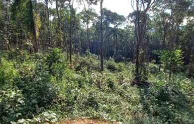 Imagem 4: Terreno de 1.000m2 apenas R$ 35 mil á vista 1IC480J