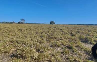 Imagem 14: Fazenda p/ Arrendamento de Soja. 1070 há. No Goiás