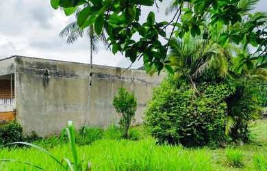 Imagem 3: Terreno - Rua Bruno Schreiber Totalmente Plano Área de 3.038m²