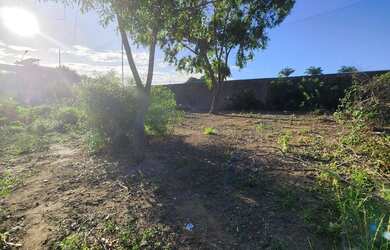 Imagem 5: Terreno em Praia de Carapebus