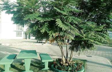 Imagem 13: Apartamento à venda, 55 m² por R$ 185.000,00 - Galo Branco - São Gonçalo/RJ