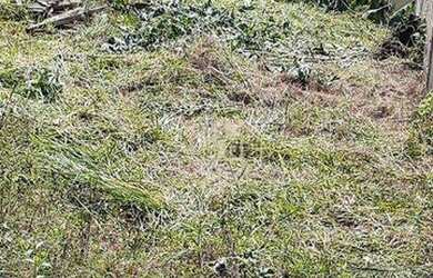 Imagem 6: Terreno à venda, 280 m² por R$ 219.900,00 - Jardim Monte Alto - Guarulhos/SP