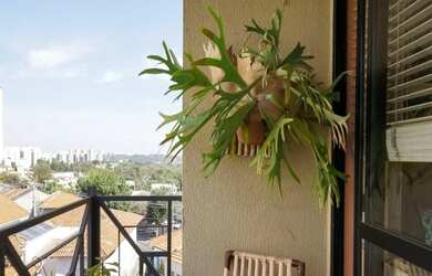 Imagem 4: ALTO DA LAPA RARA OPORTUNIDADE